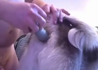 Dildo play in zoo XXX with a slutty animal