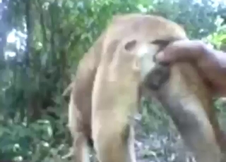 Crazy hot zoophilic experience with a sexy dog