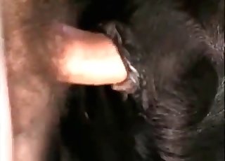 Anal sex with a horse at the old farm