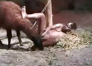 Farm bestiality action with a dirty zoophile