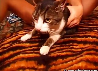 Skinny zoophile with short hair is ready to fuck her cat for the cam