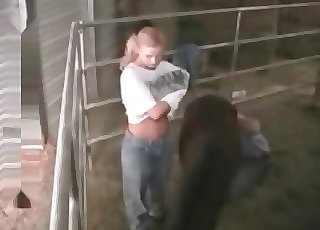 Sexy beast and a sensual pony are lovin’ bestiality