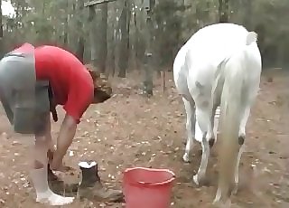 Fat fellow pounds a milky horse