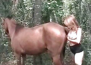 Beauty in glasses and stallion