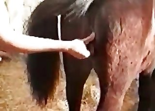 Horse rear entrance exploration at the old farm