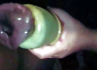 Stallion wiener is being squirted