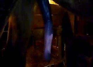 Awesome stallion cock inhaled by dirty zoophile