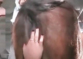Sultry rimjob for a stallion