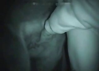 Amazing doggy fashion pound sesh with stallion