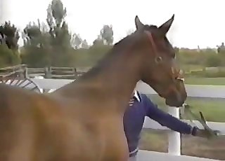 Passionate action with sexy horses