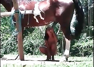 Brunette lovingly blows a horse here