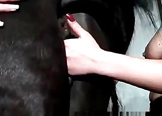 Burnette frigging horse's pussy here