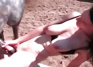 Horse sausage for a sensual brunette zoophile
