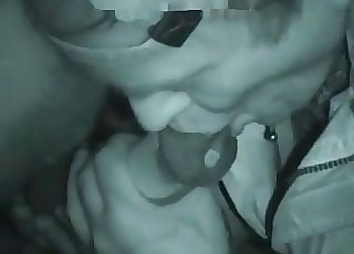 Stroking off a very enormous and lengthy stallion dick