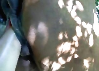 Brown horse with a large cock are making a great combo