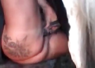 mundofut live - Chubby MILF gets her holes stretched out by a stallion