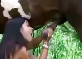 Good blowjob for a stellar brown stallion