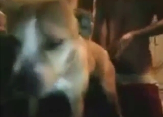 Guy's locate slides right inside the animal's hole