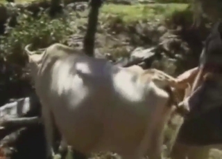 Big dick for a big roaming beast outside, so good