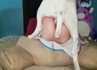 Blond-haired chick is going to get fucked hard