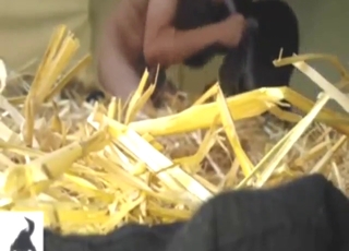 Dark-haired and pale-skinned lady fucks a dog