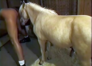 Awesome movie with pony that loves pounding women in the dark