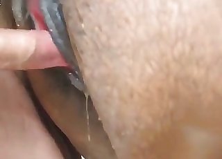 Fine brown stallion fucked hard in doggie