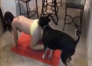 Black dog fucks a black-haired girl with passion